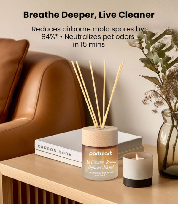 AirCleanse Room Diffuser Blend - Image 3